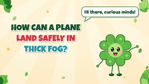 How Can a Plane Land Safely in Thick Fog?