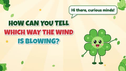 How Can You Tell Which Way the Wind Is Blowing?