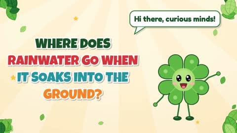 Where does rainwater go when it soaks into the ground?