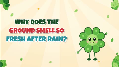 Why does the ground smell so fresh after rain?