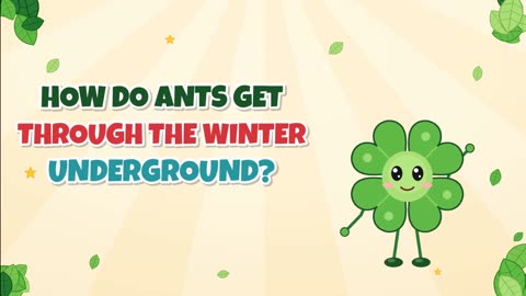 How do ants get through the winter underground?
