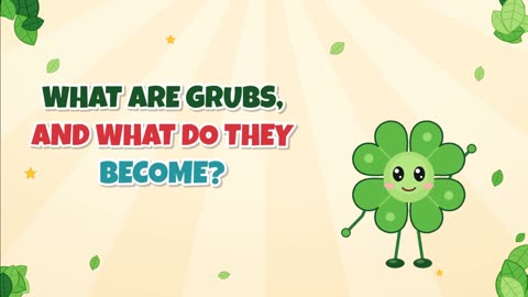 What are grubs, and what do they become?