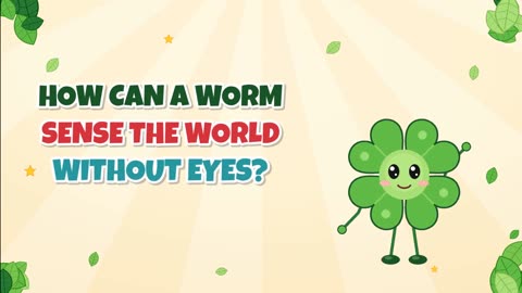 How can a worm sense the world without eyes?