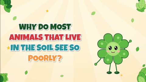 Why do most animals that live in the soil see so poorly?