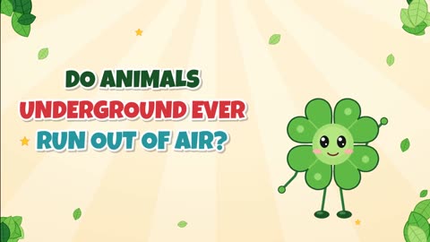 Do animals underground ever run out of air?