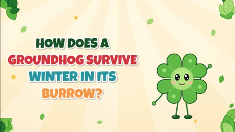 How does a groundhog survive winter in its burrow?