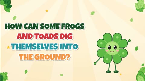 How can some frogs and toads dig themselves into the ground?
