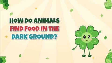 How do animals find food in the dark ground?