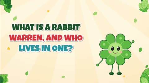 What is a rabbit warren, and who lives in one?