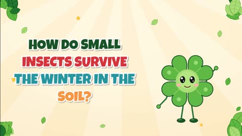 How do small insects survive the winter in the soil?