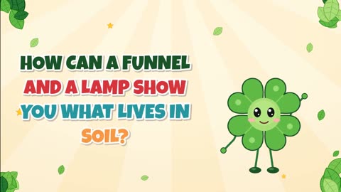 How can a funnel and a lamp show you what lives in soil?