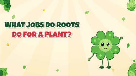 What jobs do roots do for a plant?