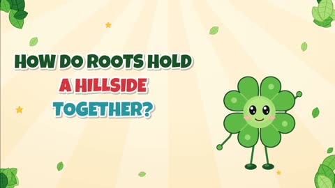 How do roots hold a hillside together?