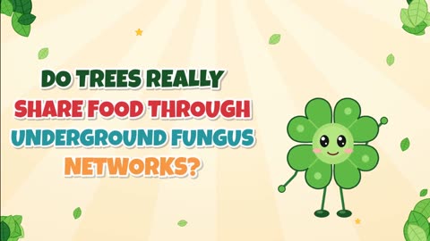 Do trees really share food through underground fungus networks?