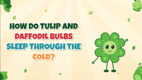 How do tulip and daffodil bulbs sleep through the cold?