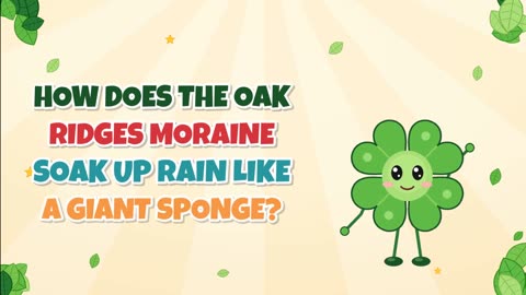 How does the Oak Ridges Moraine soak up rain like a giant sponge?