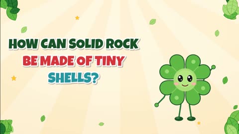 How can solid rock be made of tiny shells?