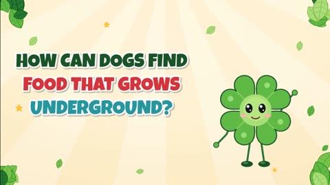 How can dogs find food that grows underground?