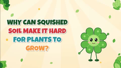 Why can squished soil make it hard for plants to grow?