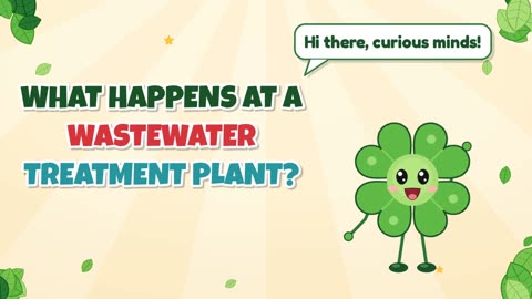 What happens at a wastewater treatment plant?