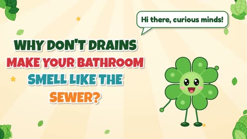Why don't drains make your bathroom smell like the sewer?