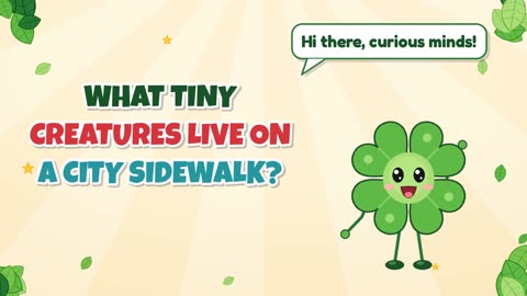 What tiny creatures live on a city sidewalk?