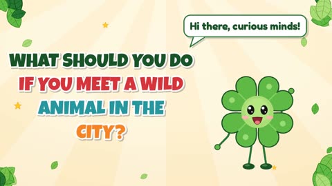 What should you do if you meet a wild animal in the city?