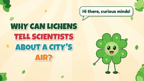 Why can lichens tell scientists about a city's air?
