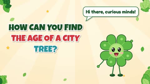 How can you find the age of a city tree?