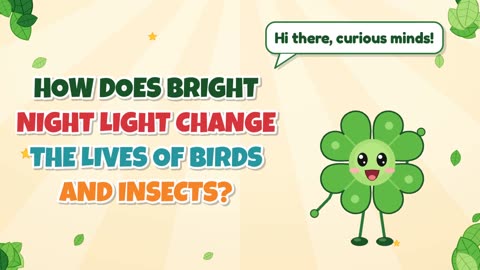 How does bright night light change the lives of birds and insects?