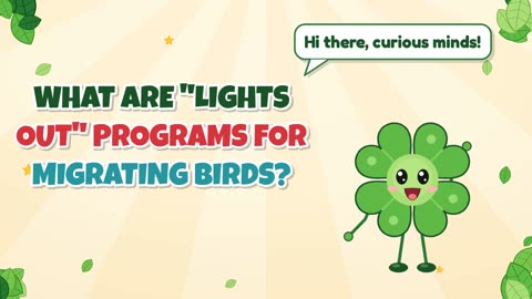 What are "lights out" programs for migrating birds?