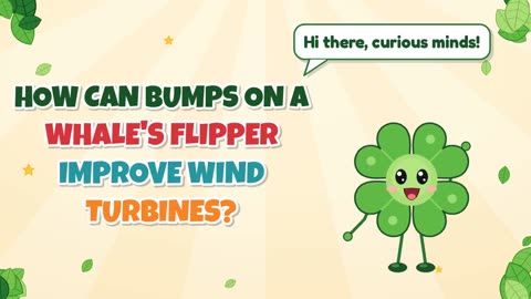 How can bumps on a whale's flipper improve wind turbines?