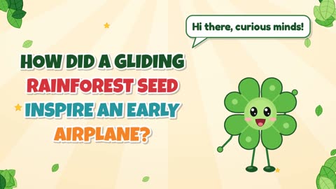 How did a gliding rainforest seed inspire an early airplane?