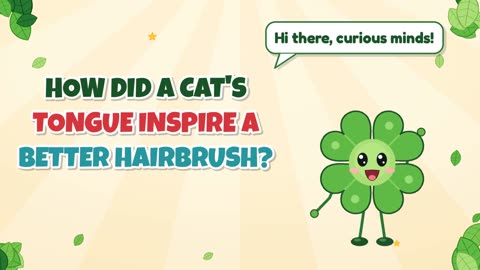 How did a cat's tongue inspire a better hairbrush?