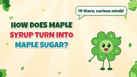 How does maple syrup turn into maple sugar?