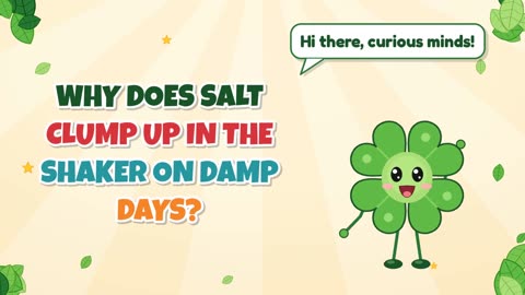Why does salt clump up in the shaker on damp days?