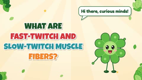 What are fast-twitch and slow-twitch muscle fibers?