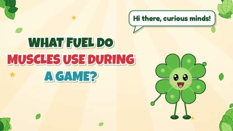 What fuel do muscles use during a game?