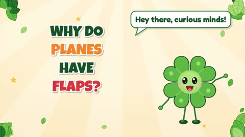 Why Do Planes Have Flaps?