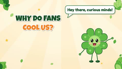Why Do Fans Cool Us?