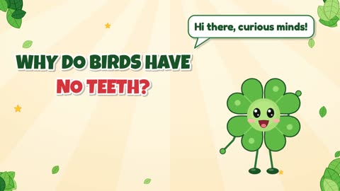 Why do birds have no teeth?