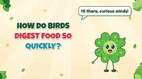 How do birds digest food so quickly?