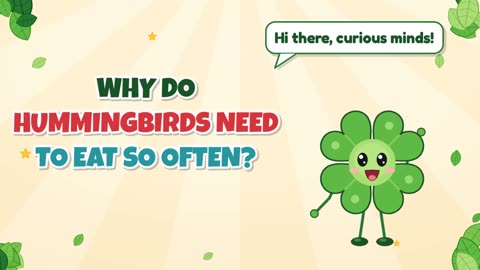 Why do hummingbirds need to eat so often?