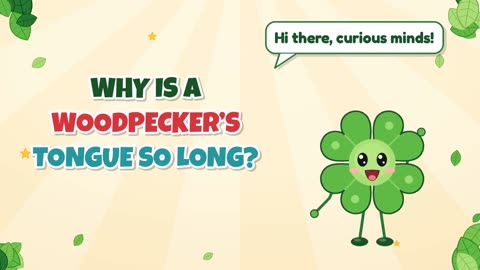 Why is a woodpecker’s tongue so long?