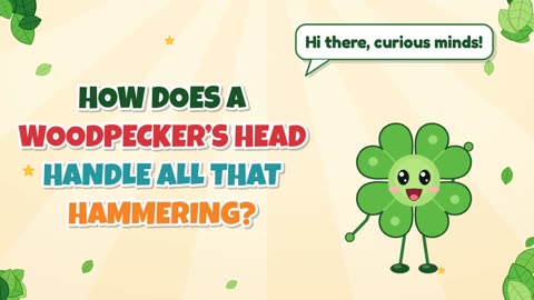 How does a woodpecker’s head handle all that hammering?