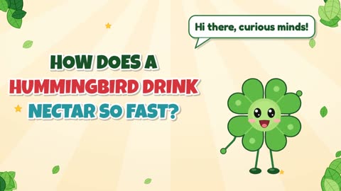 How does a hummingbird drink nectar so fast?