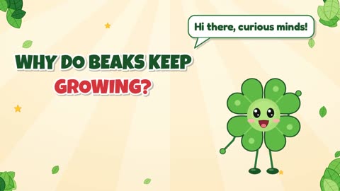 Why do beaks keep growing?