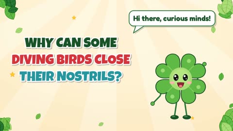 Why can some diving birds close their nostrils?