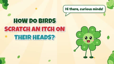 How do birds scratch an itch on their heads?
