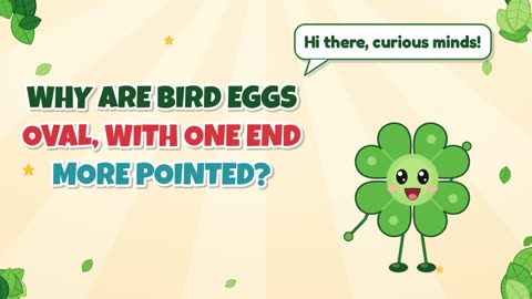 Why are bird eggs oval, with one end more pointed?